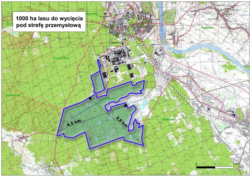 protest przeciwko wycince lasów